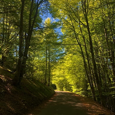 Circuit vélo : D'un plateau à l'autre