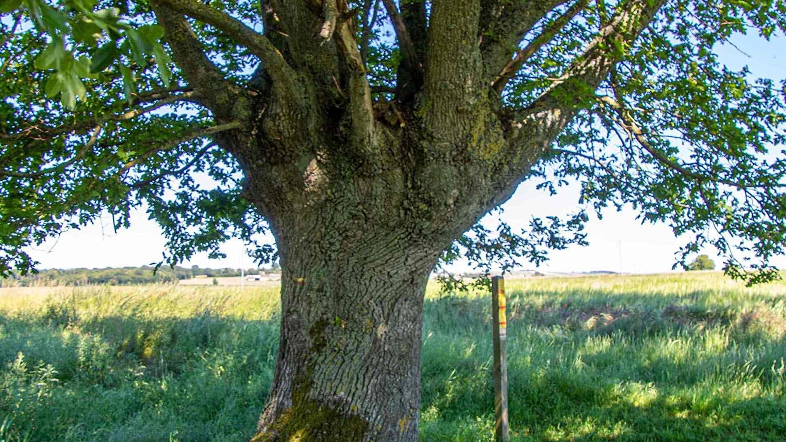 Sentier de la Bataille