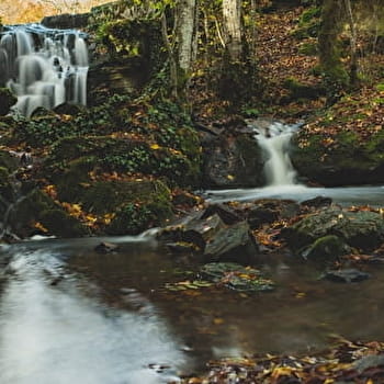 L'eau et la forêt - SAINT-SERNIN-DU-BOIS