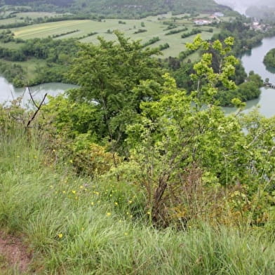 Eglise de St Maurice d'Echazeaux - Ruines de Mt-Didier