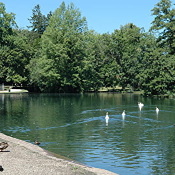 Traversée de quelques premiers crus de Beaune - BEAUNE