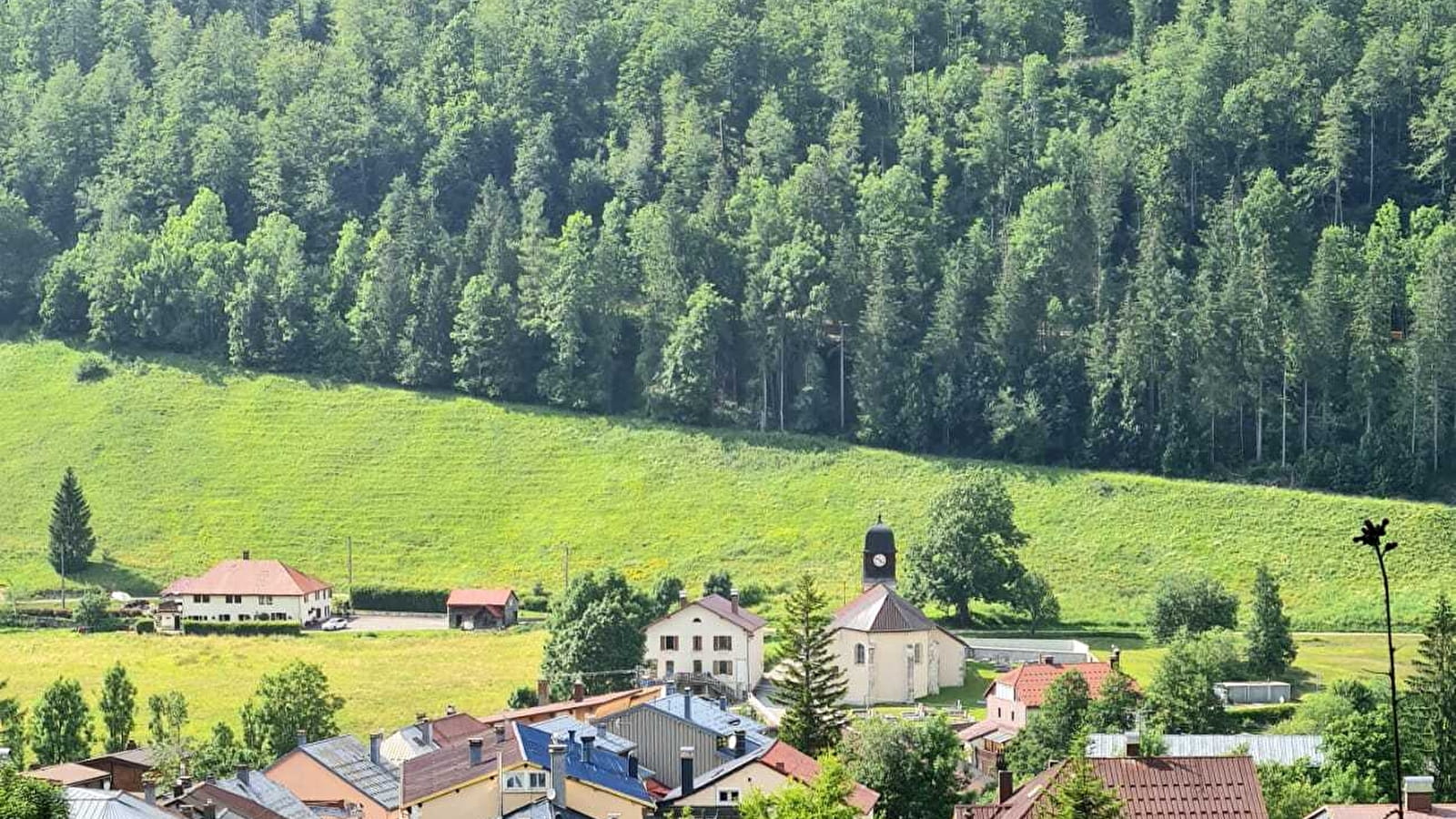 Sur le sentier des Arts : l'horoscope sylvestre