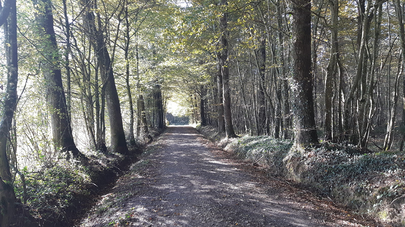 Circuit VTC-VTT n°4 (rouge) - La Voie Royale des bois de But