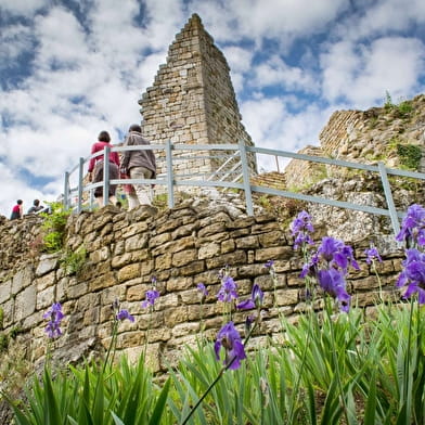Les Falaises et le Château