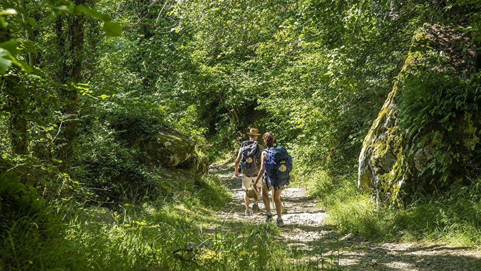 Portion du chemin de Saint-Jacques de Compostellle (GR765)