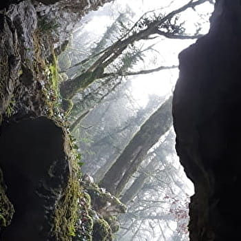 Mont Nivigne - Crête du Lomont - NIVIGNE ET SURAN