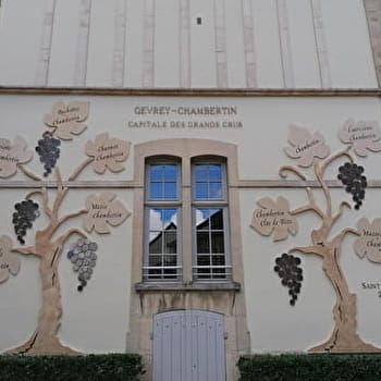 Balade à Gevrey-Chambertin - GEVREY-CHAMBERTIN