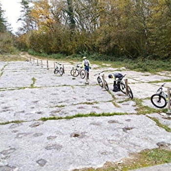 Circuit VTT n°27 (rouge) - Piste des Dinosaures - Falaise de Bérranger - CIZE