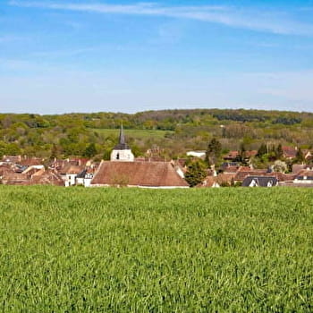 Regard sur la Forterre - TREIGNY-PERREUSE-SAINTE-COLOMBE