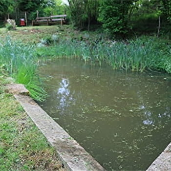 Sources, fontaines et lavoirs - TREIGNY-PERREUSE-SAINTE-COLOMBE