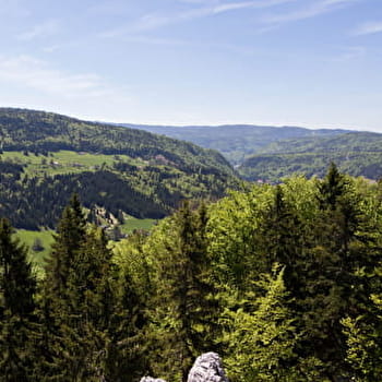 Grand Goulet et Trois Commères - MORBIER