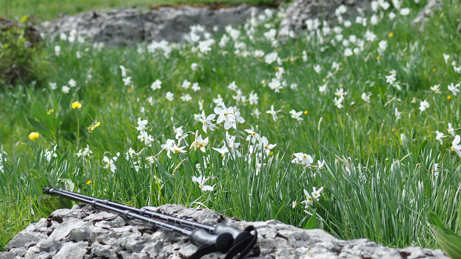 GR® de Pays - Grand Tour de la Valserine