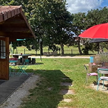 Bar à Terrines - SAINT-BRESSON