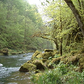 Les Gorges du Doubs - GRAND'COMBE-DES-BOIS