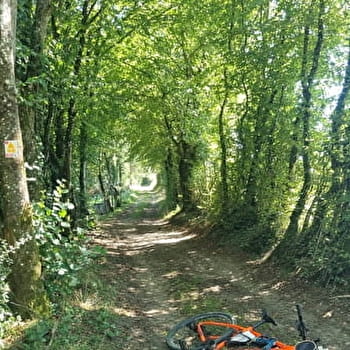 Circuit Gravel n°4 (rouge) - La Voie Royale des bois de But - MONTREVEL-EN-BRESSE