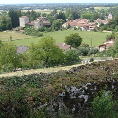 De la Bresse à la Vallée de l'Ain