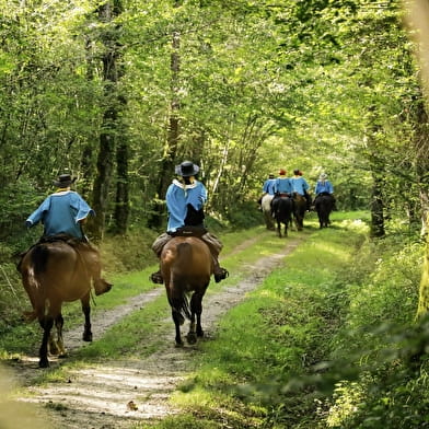 La Route Européenne d'Artagnan