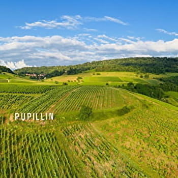 Balade à Pupillin - PUPILLIN