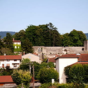 Sentier 'Le château - Avrillat' à Poncin - PONCIN