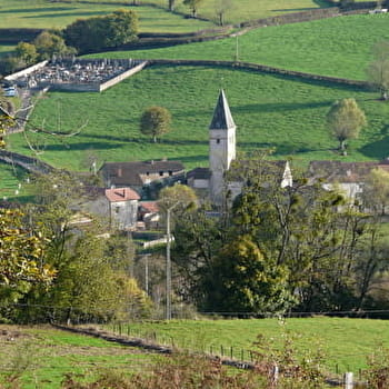 Bois des Combes - NAVOUR-SUR-GROSNE