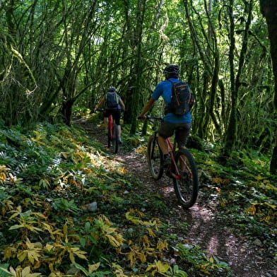 Tour du Pays de Dole - 110N