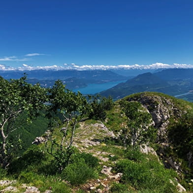 Circuit de Randonnée de Chanduraz depuis Charaillin (Chavornay - Arvière-en-Valromey)