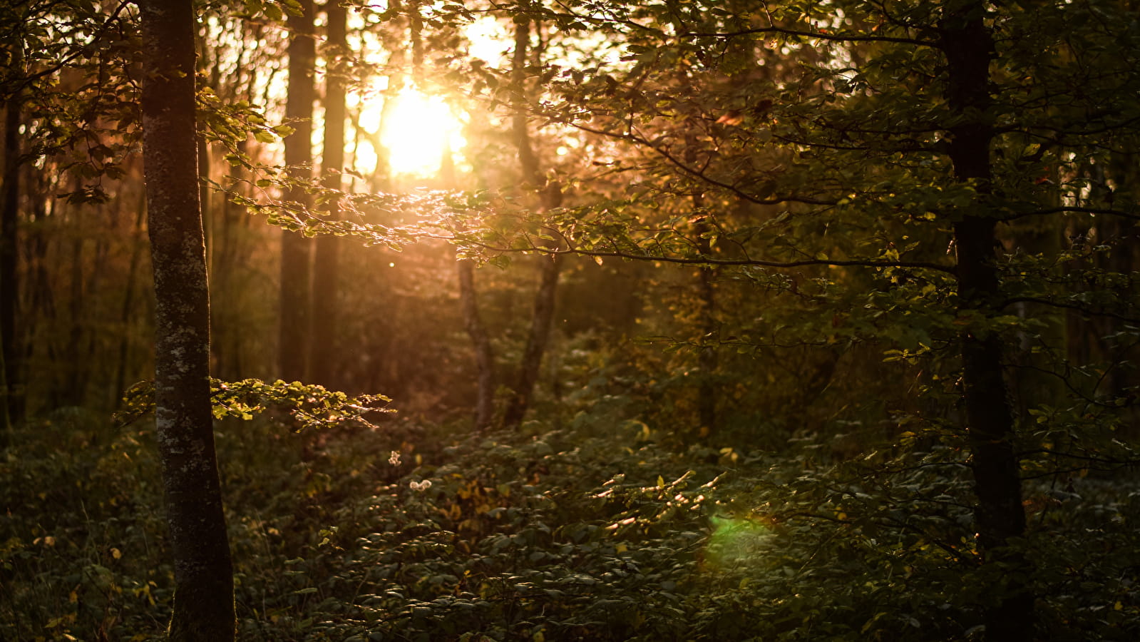 Circuit du Patrimoine - 75B