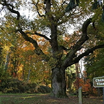 Sentier des Sources - FALLETANS