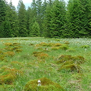 Le Verbois - LE RUSSEY