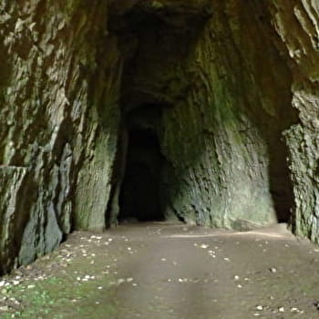 Le Château de la Roche (attente confirmation niveau) - SAINT-HIPPOLYTE