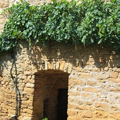 Circuit VTT n°12 (rouge) - Cavets, Villages revermontois