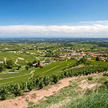 Parcours d'Orientation spécial Enfants - FLEURIE