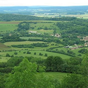 Sentier de la mirabelle - FALLON