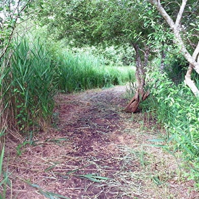 Le sentier du Marais d'Andryes