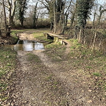 Sentier du château de Beauvoir - SAINT-POURCAIN-SUR-BESBRE