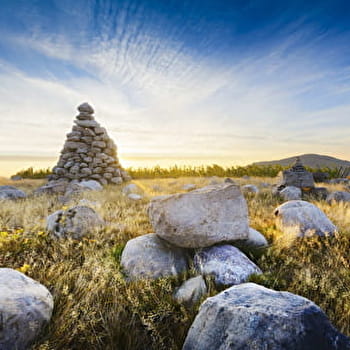 La Tour Bourdon - Beaujolais - Regnié-Durette - REGNIE-DURETTE