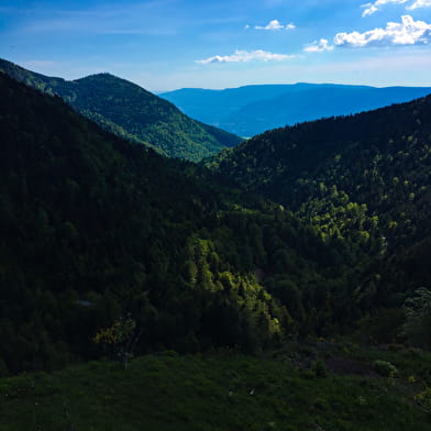 Circuit de randonnée pédestre : Les crêtes d'Hergues