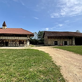 Itinérance L'Ain à Vélo - La Bresse, étranges sarrasines (3 jours) - PONT-DE-VAUX