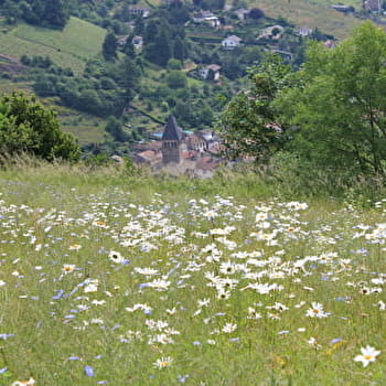 Balade des Sires - BEAUJEU