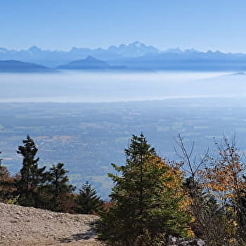 Randonnée pédestre : Echenevex - Branveau - Montchanais - ECHENEVEX