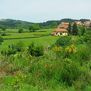 Le partage des eaux - VEROSVRES