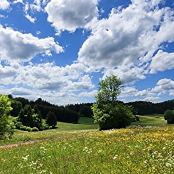 Champ la Gaille - 26V - CERNIEBAUD