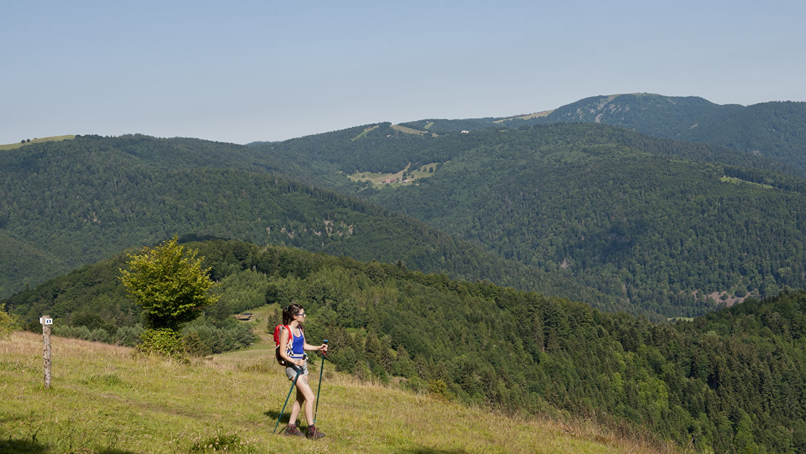 Traversée du Massif des Vosges