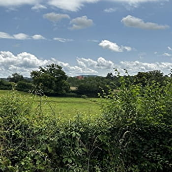Balade Verte - La Ligne (VE1) - VENDENESSE-LES-CHAROLLES