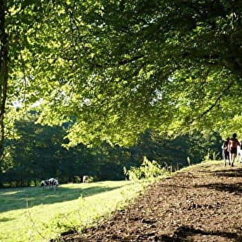 Les Narines du Diable - PONT-LES-MOULINS
