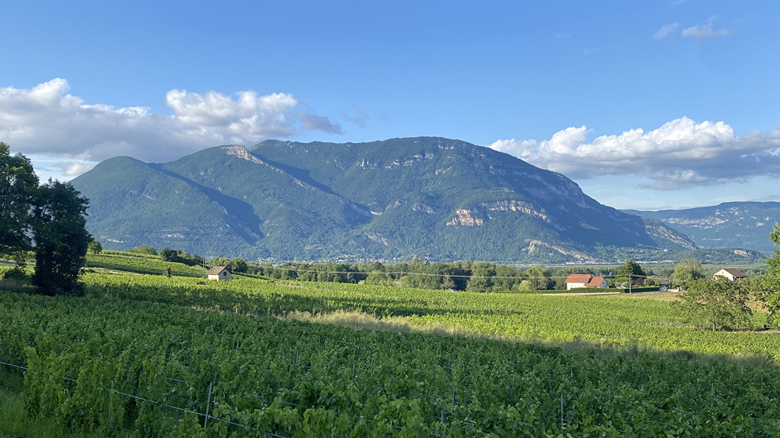 Circuit vélo : côteaux du Bugey et Plateau d'Hauteville