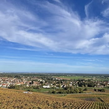 Chemin des Perdrix - BUXY