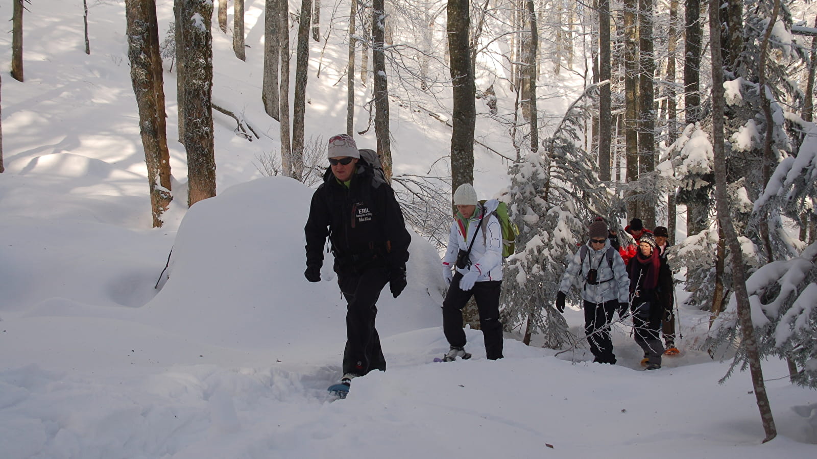 Circuit Le Périmètre