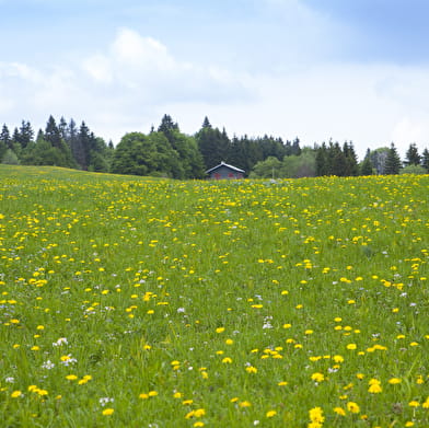 Circuit équestre du Plateau de Retord