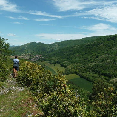 GR® de Pays Tour du Revermont